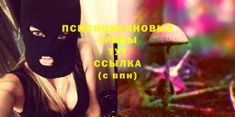 Галлюциногенные грибы Magic Shrooms  это телеграм  Злынка 